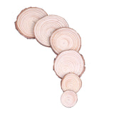 Small Natural Wood Slices 10Pcs with Holes for Crafts Ornaments Predrilled DIY Round Discs Ornaments Tree Bark Wooden Circles